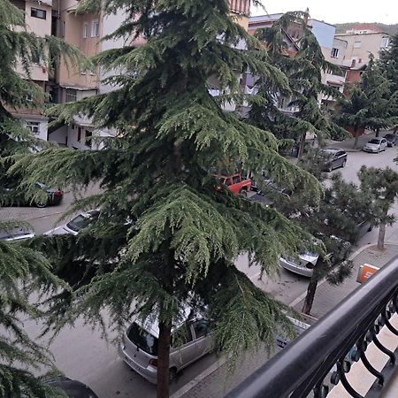 New Apartament Pogradec Exterior photo