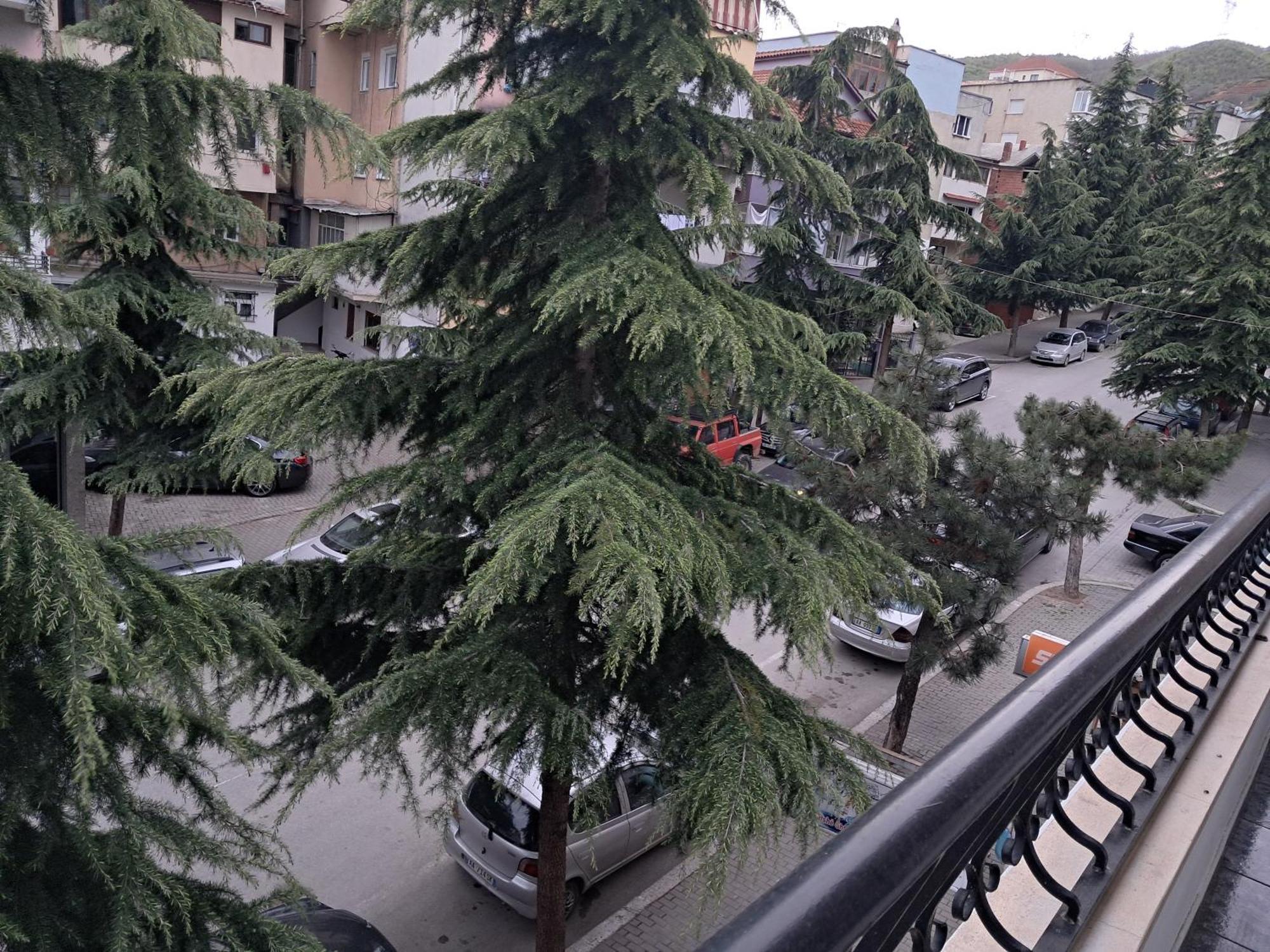New Apartament Pogradec Exterior photo